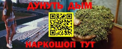 ешки Бердск