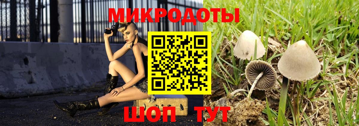 Галлюциногенные грибы мухоморы Бахчисарай